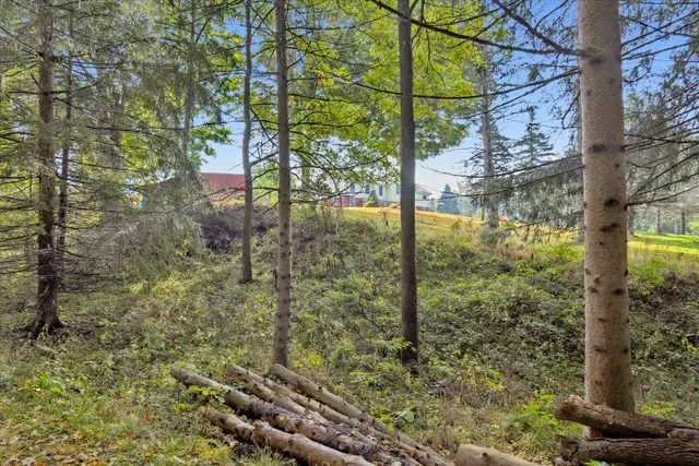 $369,900 | 521 Adrian Street, Manchester, MI 48158