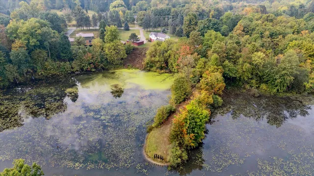 $369,900 | 521 Adrian Street, Manchester, MI 48158