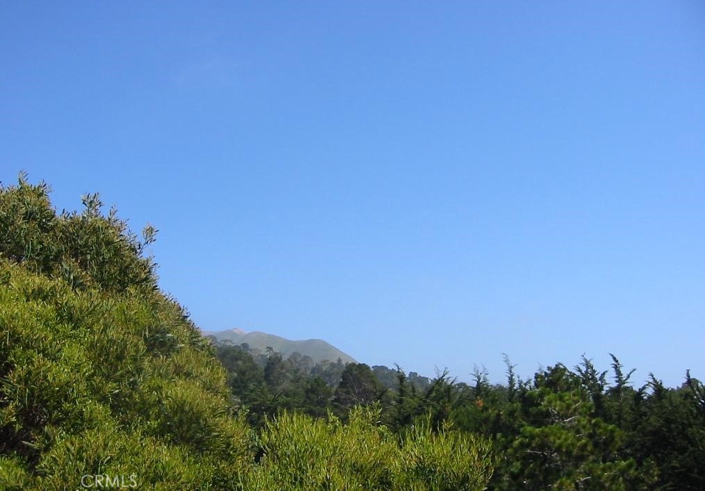 195 Spindrift Road Carmel Highlands, CA 93923 - Photo 2 of 11 a view of a bunch of trees