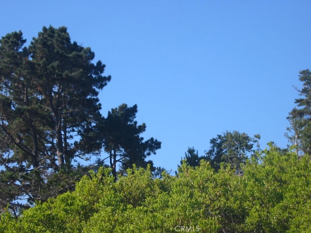 195 Spindrift Road Carmel Highlands, CA 93923 - Photo 3 of 11