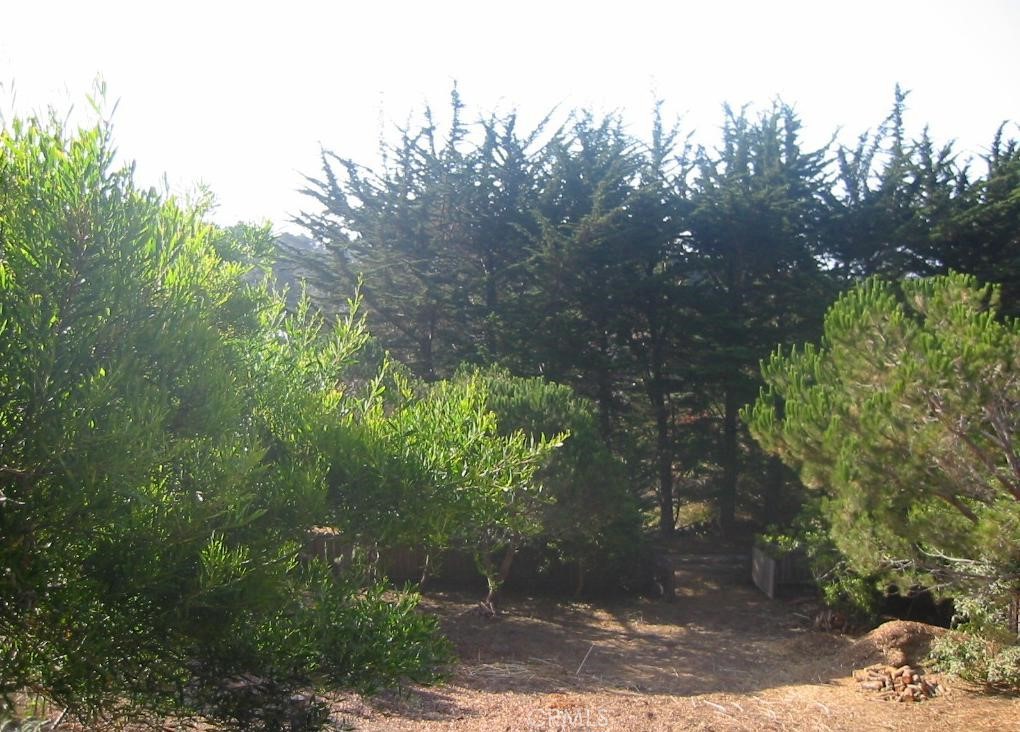 195 Spindrift Road Carmel Highlands, CA 93923 - Photo 4 of 11 a backyard of a house with lots of green space