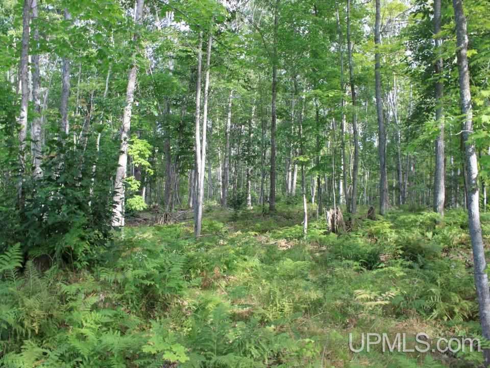 Tbd Shepards Ridge Road Lake Linden, MI 49945 - Photo 14 of 27 Gallery Image 14