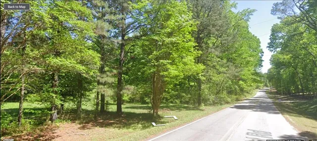 a view of a garden with a bench