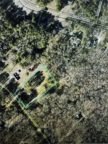 a view of a park with large trees