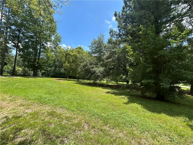 a view of a trees in a yard