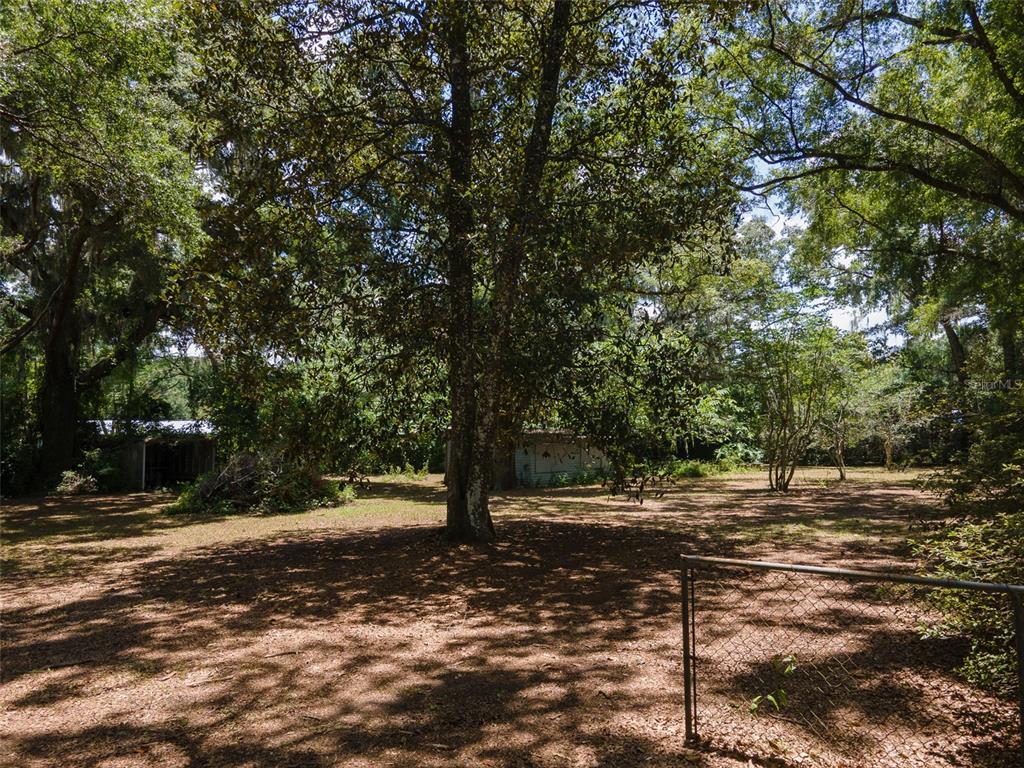 1805 Southeast 47 Terrace Gainesville, FL 32641 - Photo 3 of 9 a view of road with trees