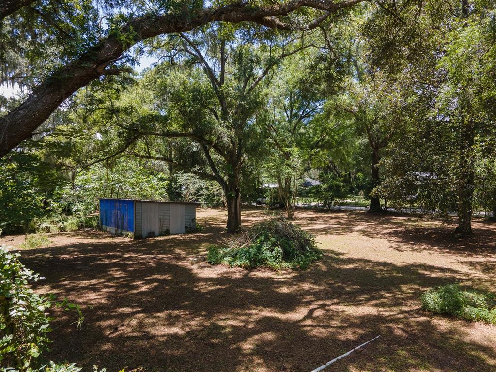 1805 Southeast 47 Terrace Gainesville, FL 32641 - Photo 6 of 9 a view of a yard with plants and large trees