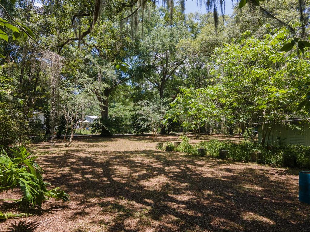 1805 Southeast 47 Terrace Gainesville, FL 32641 - Photo 7 of 9 a view of a yard with plants and trees