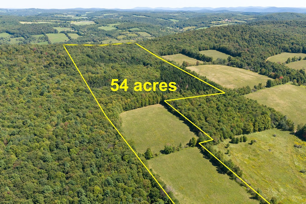 Lot 4 Warren Road Treadwell, NY 13846 - Photo 1 of 1 Gallery Image 1