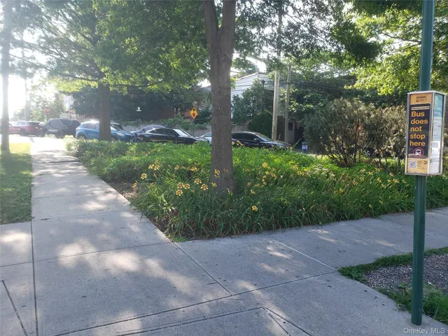 a view of a yard with plants and large trees
