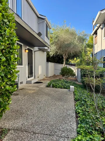 a backyard of a house with plants and tree