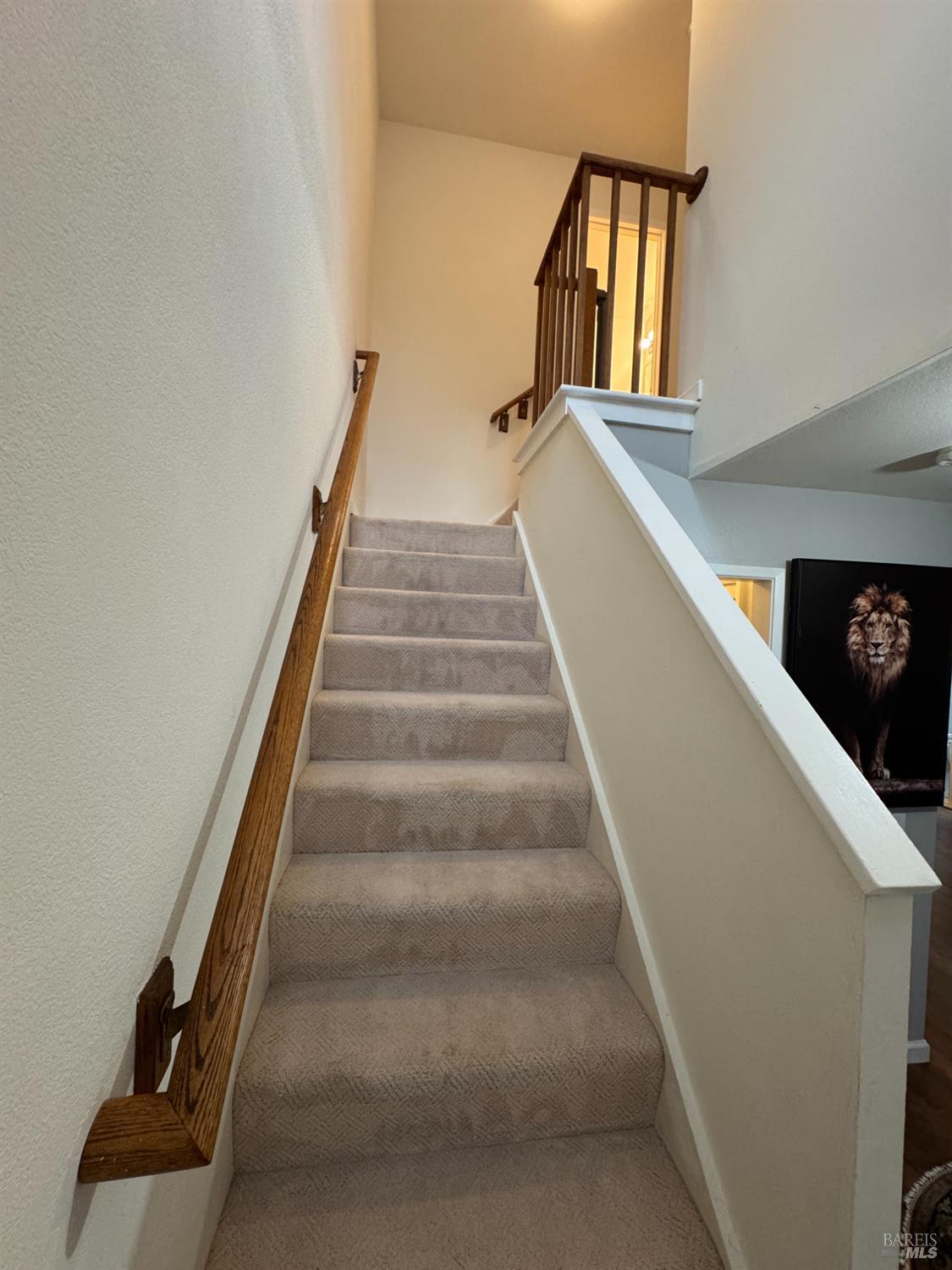 58 Scottsdale Way Novato, CA 94947 - Photo 27 of 64 a view of staircase with white walls and a window