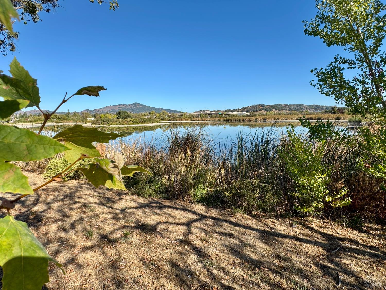 58 Scottsdale Way Novato, CA 94947 - Photo 63 of 64 a view of a lake