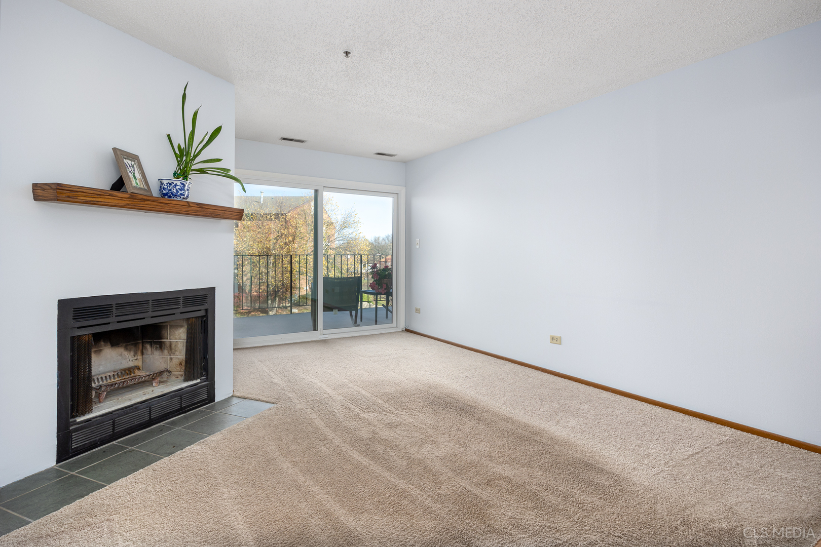 760 Weidner Road, Unit 205 Buffalo Grove, IL 60089 - Photo 4 of 26
