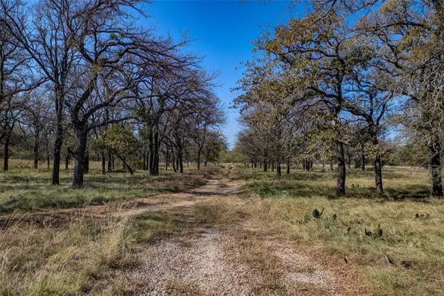 $60,000 | Lot 194 Grand Harbor Boulevard, Chico, TX 76431