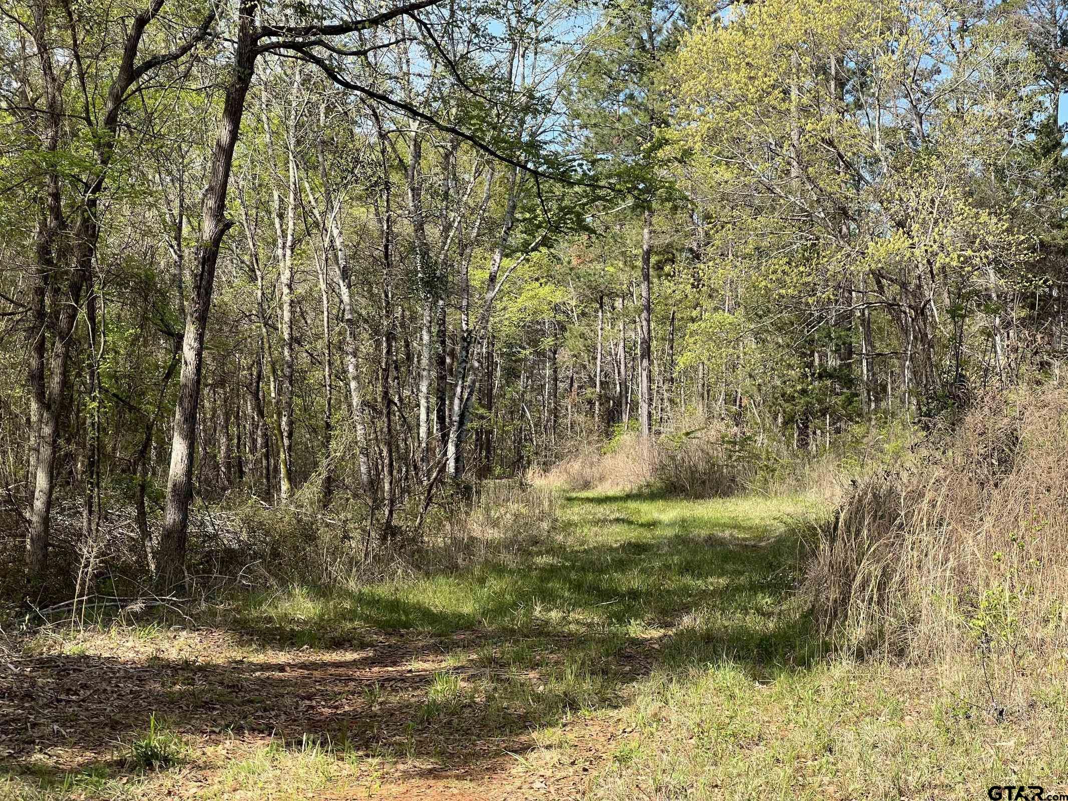0 C R 434 Lindale, TX 75771 - Photo 16 of 29