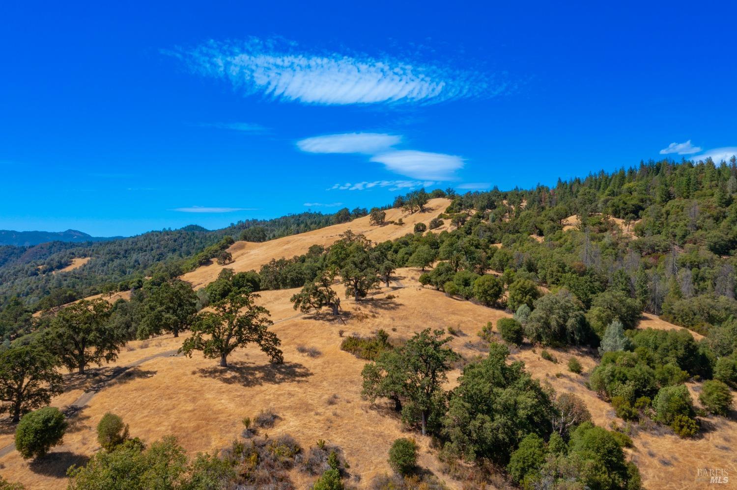 58380 Highway 162 Dos Rios, CA 95429 - Photo 20 of 62
