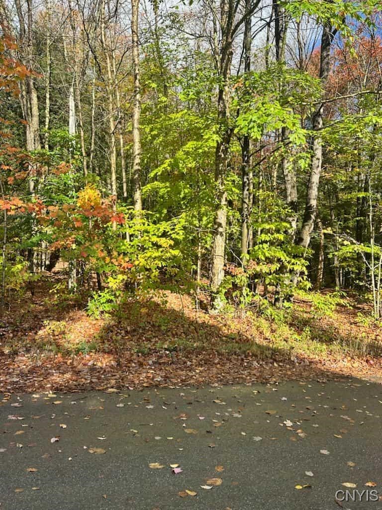 .64 Acre lot