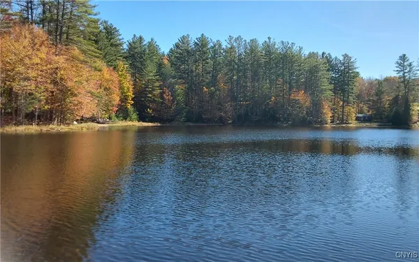 $23,500 | Silverstone Road, Remsen, NY 13438