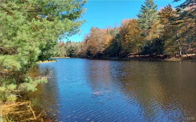 $29,900 | Silverstone Road, Remsen, NY 13438