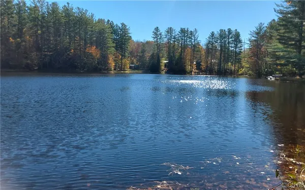 $23,500 | Silverstone Road, Remsen, NY 13438