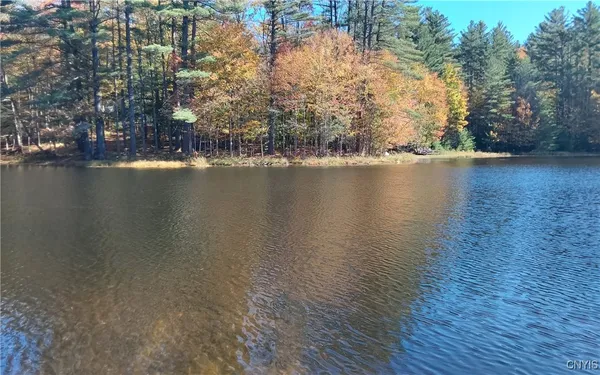 $23,500 | Silverstone Road, Remsen, NY 13438