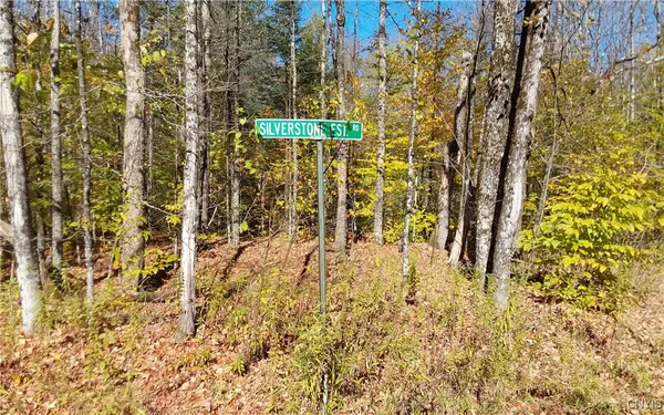 $23,500 | Silverstone Road, Remsen, NY 13438