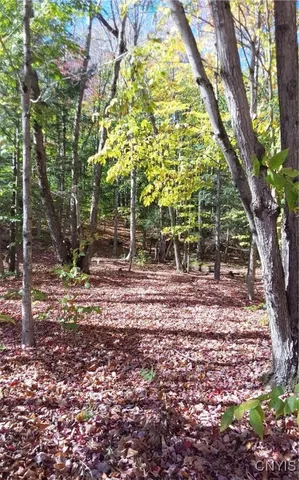 $29,900 | Silverstone Road, Remsen, NY 13438