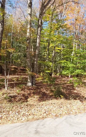 $23,500 | Silverstone Road, Remsen, NY 13438