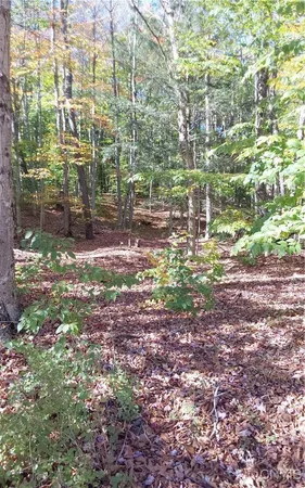 $23,500 | Silverstone Road, Remsen, NY 13438