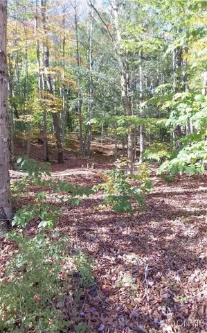 $29,900 | Silverstone Road, Remsen, NY 13438