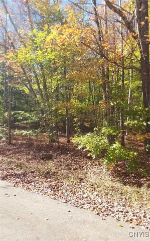 $29,900 | Silverstone Road, Remsen, NY 13438