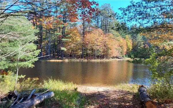 $23,500 | Silverstone Road, Remsen, NY 13438