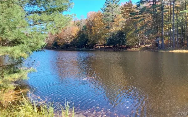 $23,500 | Silverstone Road, Remsen, NY 13438