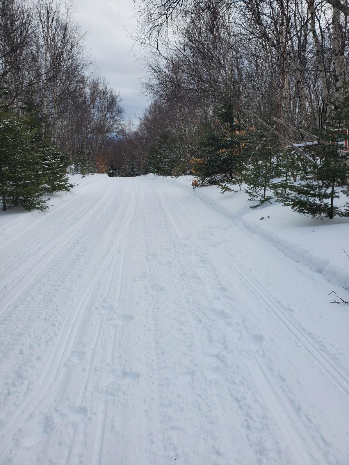 Lot 14 South Nelson Road Oakfield, ME 04763 - Photo 7 of 9 20220207_125252
