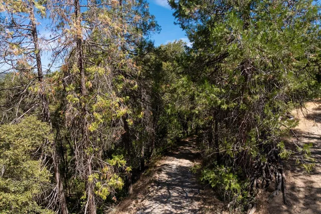 $65,000 | 6583 Casa Contenta Drive, Somerset, CA 95684