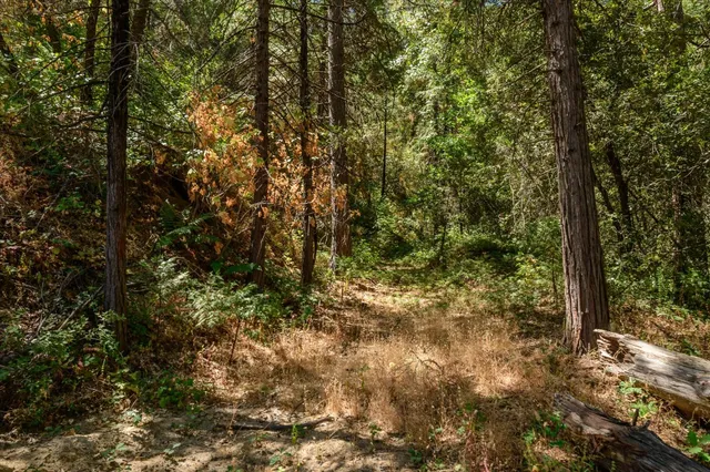 $65,000 | 6583 Casa Contenta Drive, Somerset, CA 95684