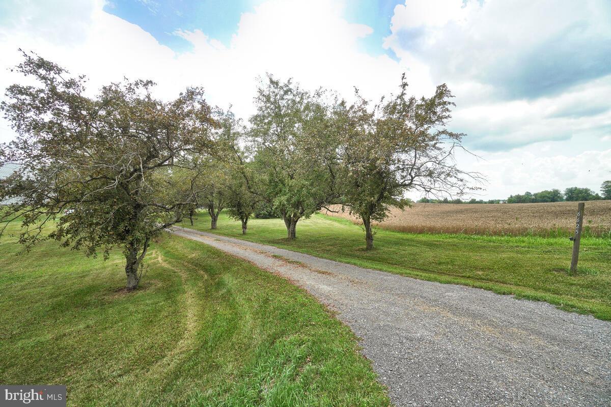 6625 Keysville Road Keymar, MD 21757 - Photo 79 of 91