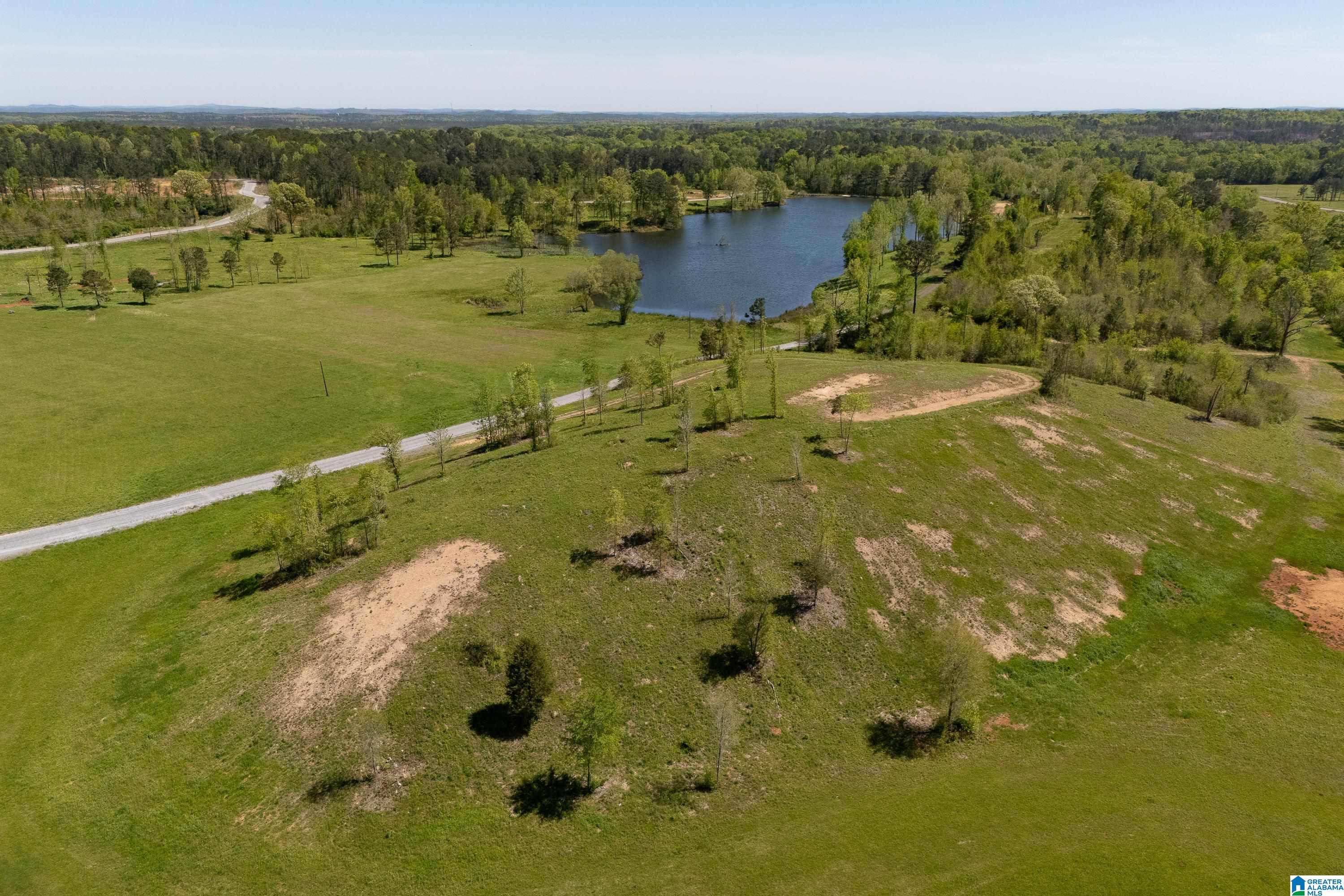 935 Shelby Lakes Ranch Way, Unit 28 Shelby, AL 35143 - Photo 10 of 37
