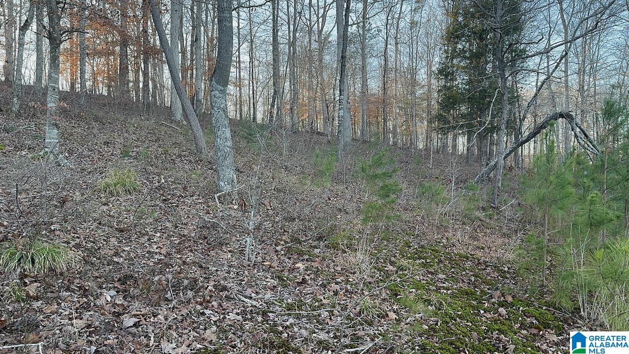 0 Edgewater Bend, Unit 29 Double Springs, AL 35553 - Photo 9 of 18