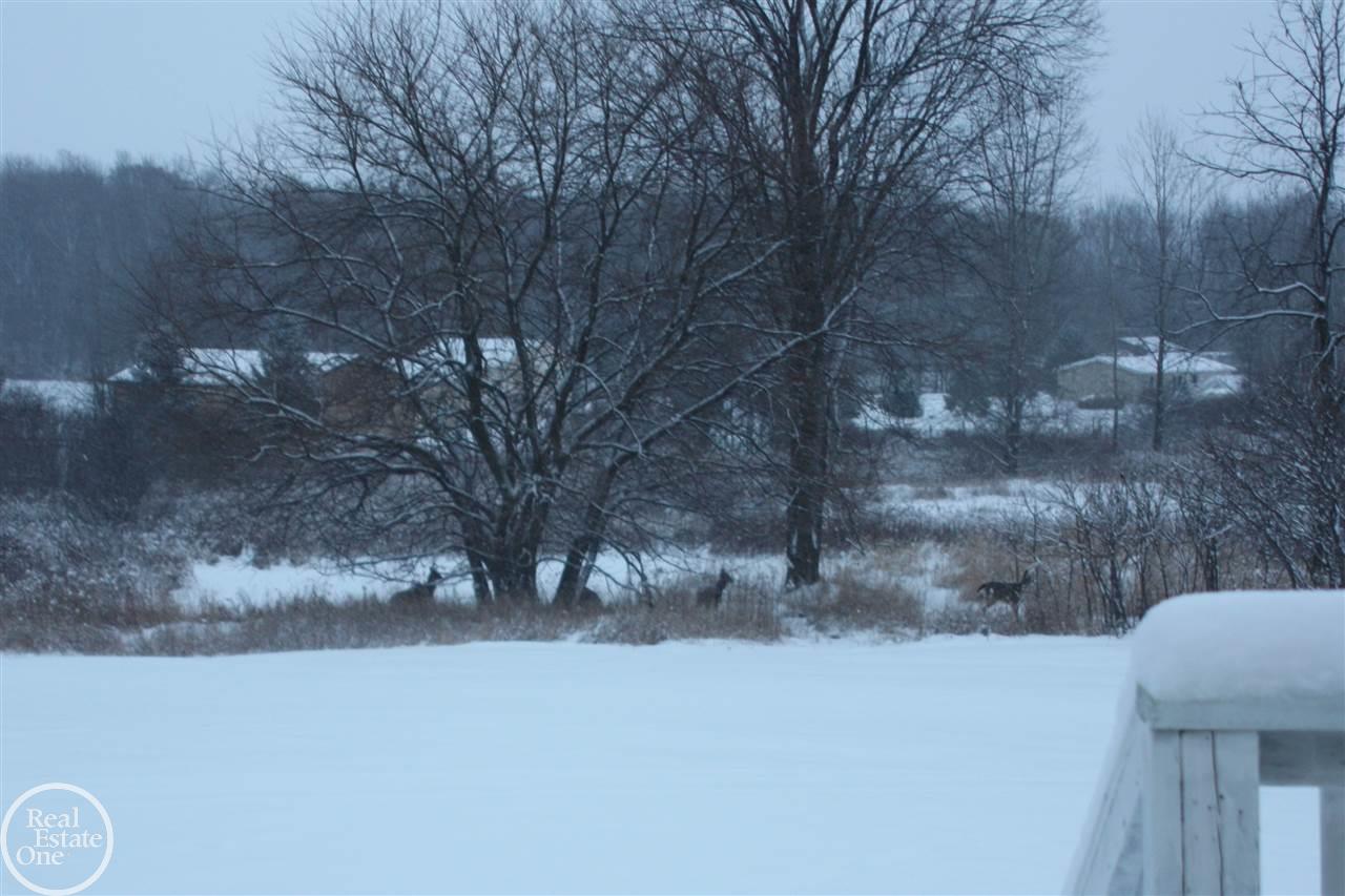 7225 Jordan Road Melvin, MI 48454 - Photo 69 of 69