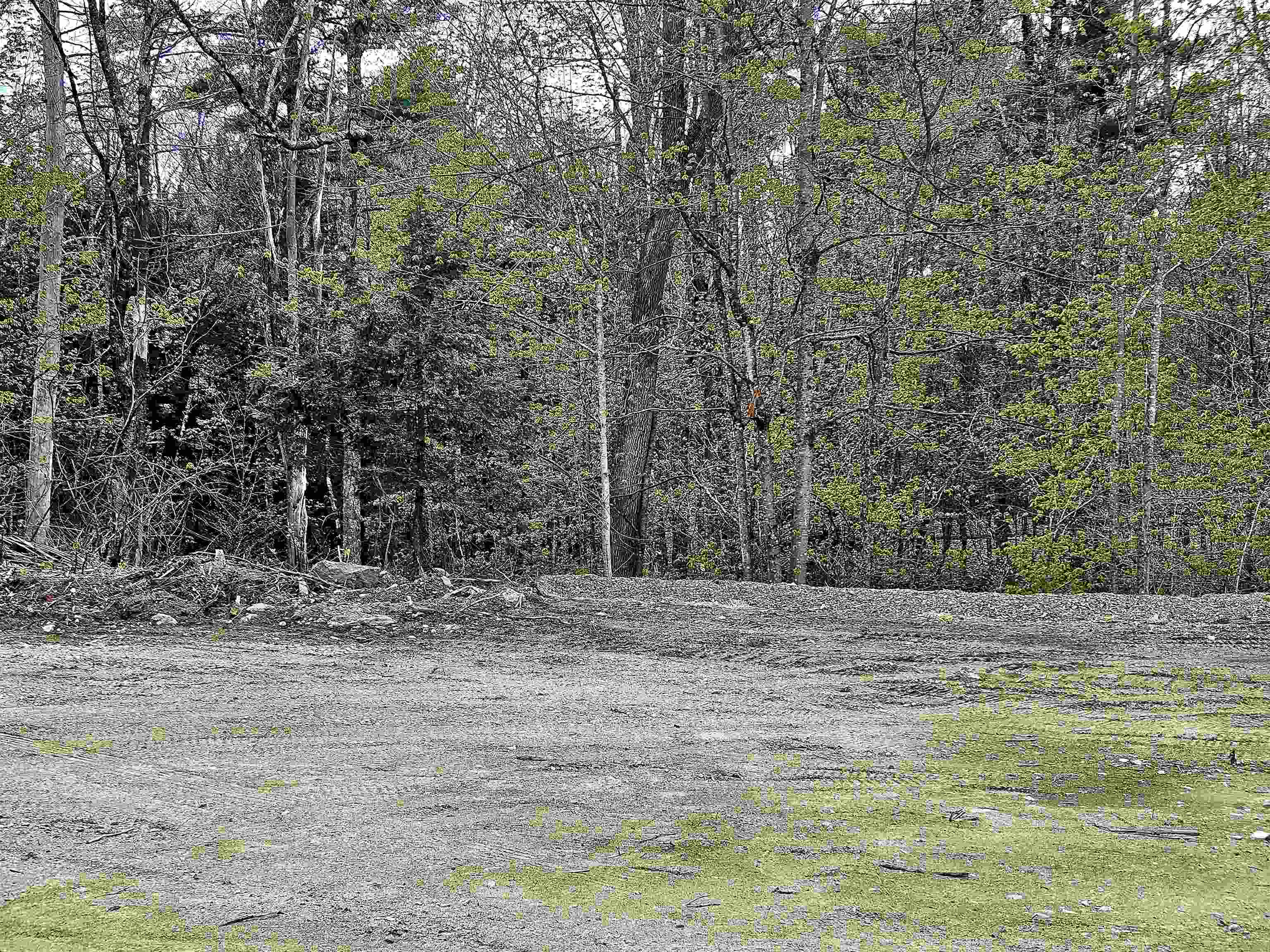 86 Spring Street Farmington, NH 03835 - Photo 4 of 5