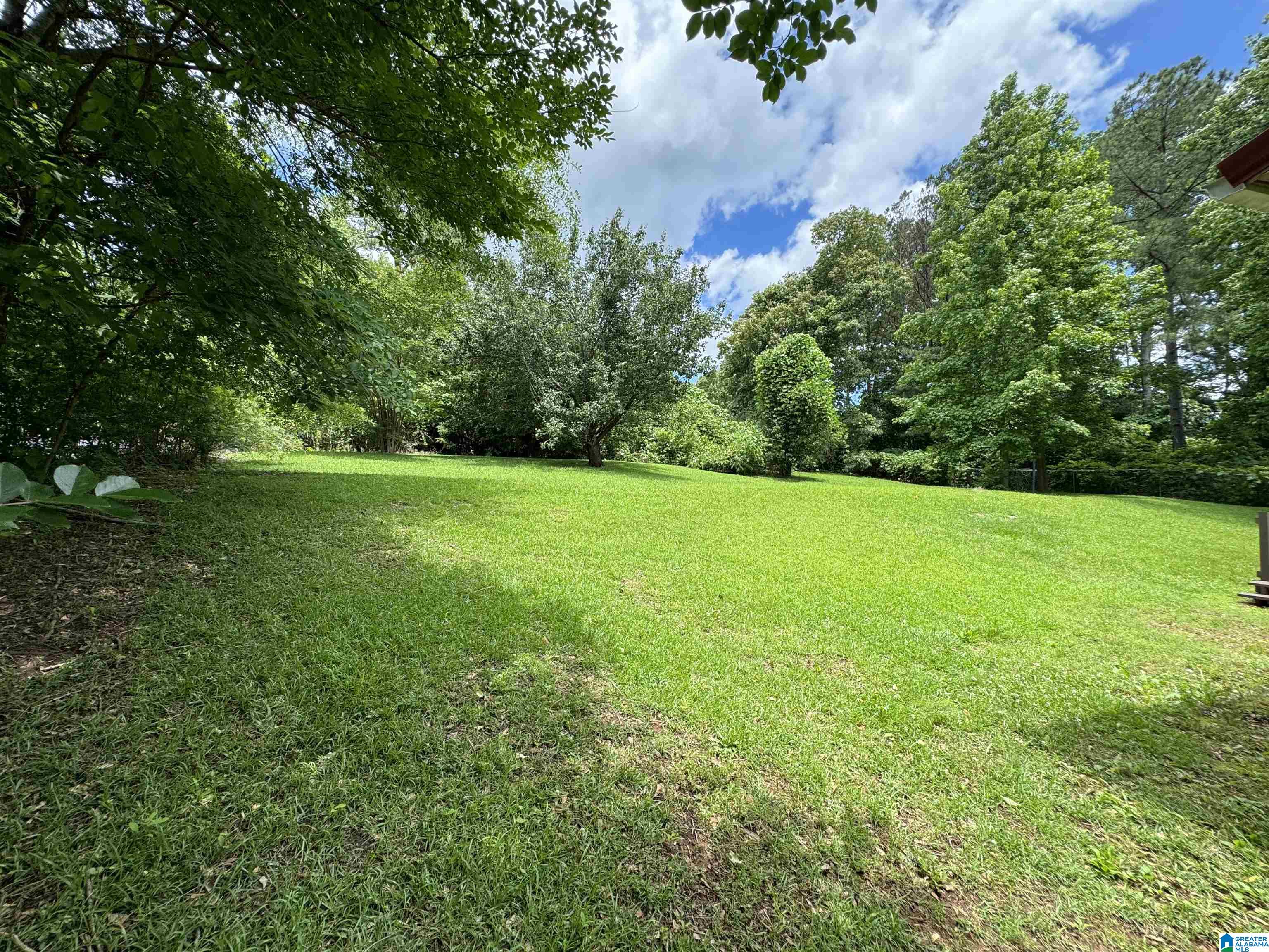 149 Pine Manor Road Alexandria, AL 36250 - Photo 4 of 20