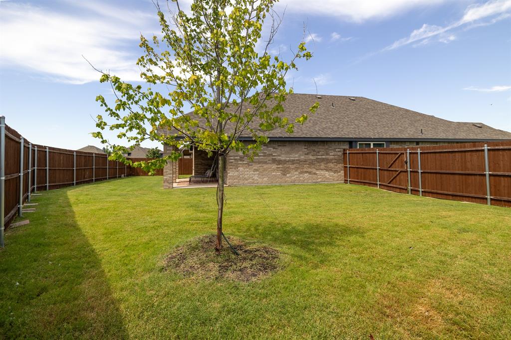 118 Sycamore Street Balch Springs, TX 75181 - Photo 31 of 34 a backyard of a house with lots of green space