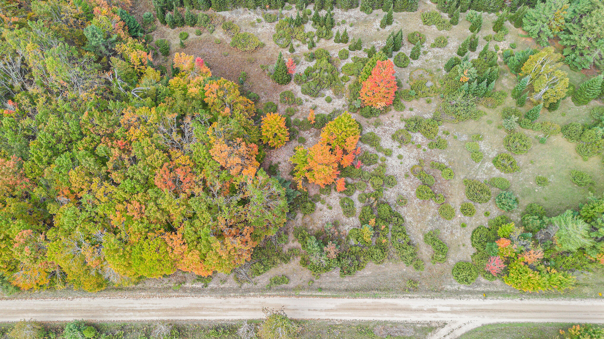 V/l Trout Creek Road Cheboygan, MI 49721 - Photo 8 of 15 002_dji_0823_267
