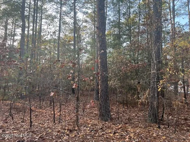 $20,000 | 0 McKenzie Lane, Aberdeen, NC 28315