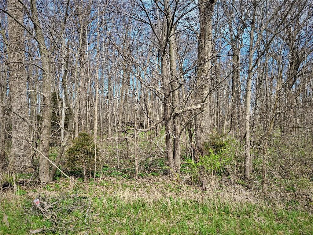 Tract 4-0 North Oak Ridge Road Sheridan, IN 46069 - Photo 5 of 7 Gallery Image 5