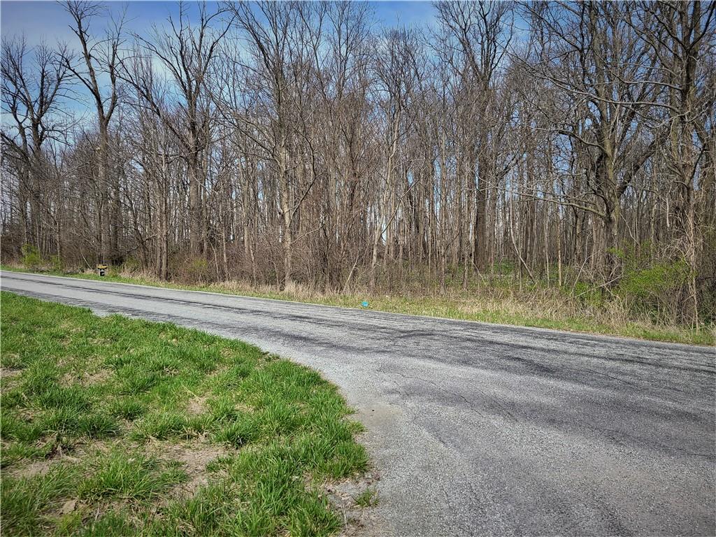Tract 4-0 North Oak Ridge Road Sheridan, IN 46069 - Photo 7 of 7 Gallery Image 7