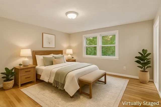 a view of a park with large trees