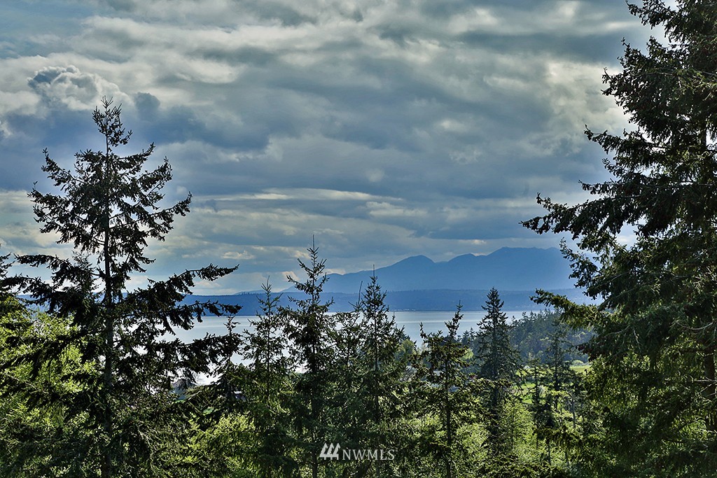 5261 Mutiny Bay Road Freeland, WA 98249 - Photo 3 of 25 Gallery Image 3
